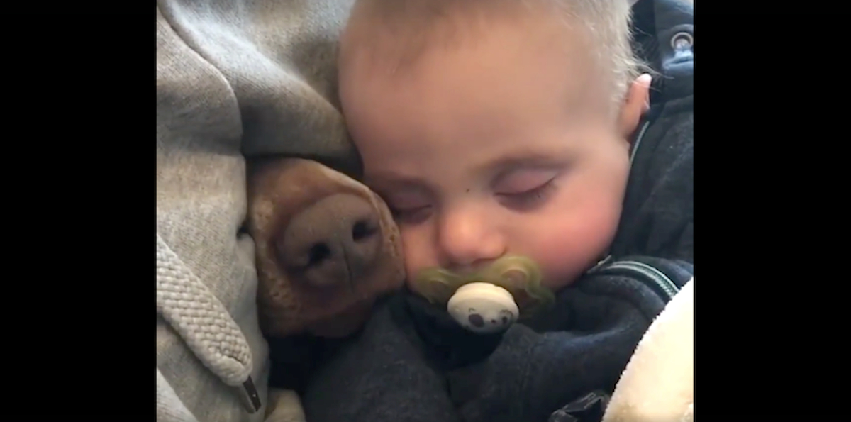 Mom's Filming The Baby Taking A Nap When A Nose Pokes Through Beside Him