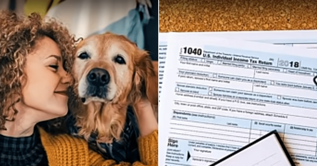 Woman Is Suing the IRS To Claim Dog As Independent On Taxes