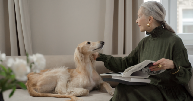Green Lipped Mussels For Dogs: How Can They Improve Joints?