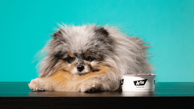 DONE with searching for food for your picky dog?