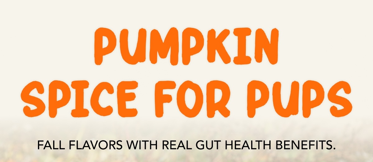 Pumpkin Spice for Pups - Fall flavors with real gut health benefits.