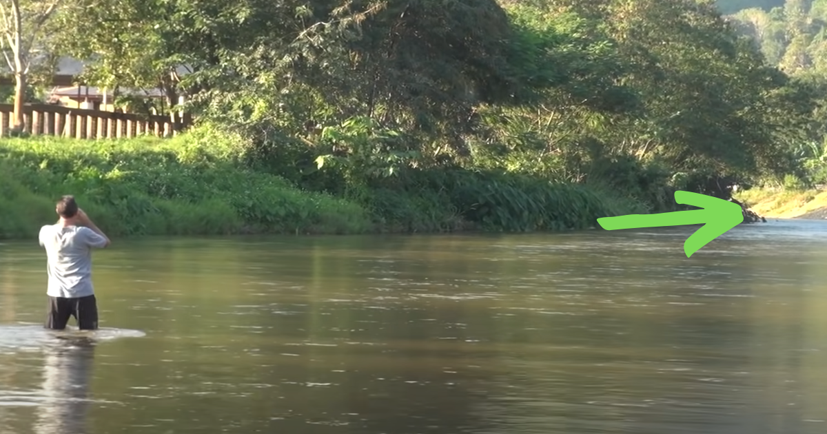 Their Favorite Person Returns After 14 Months, And They Came Running