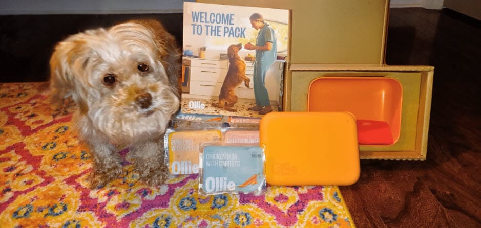 How Ollie Dog Food Transformed My Picky Senior Dog’s Health