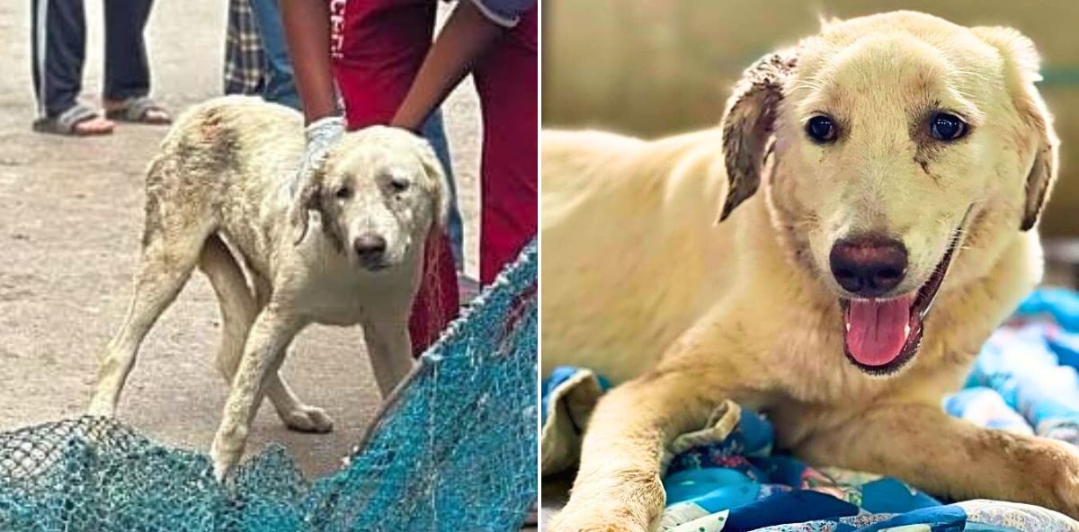 Dax Was Heartlessly Dumped, Then Attacked On The Streets