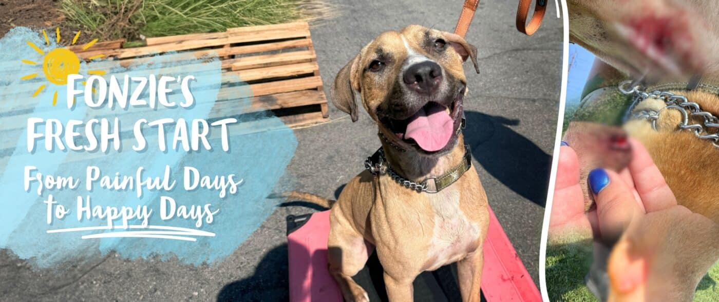 ✨You Helped Save Fonzie!✨