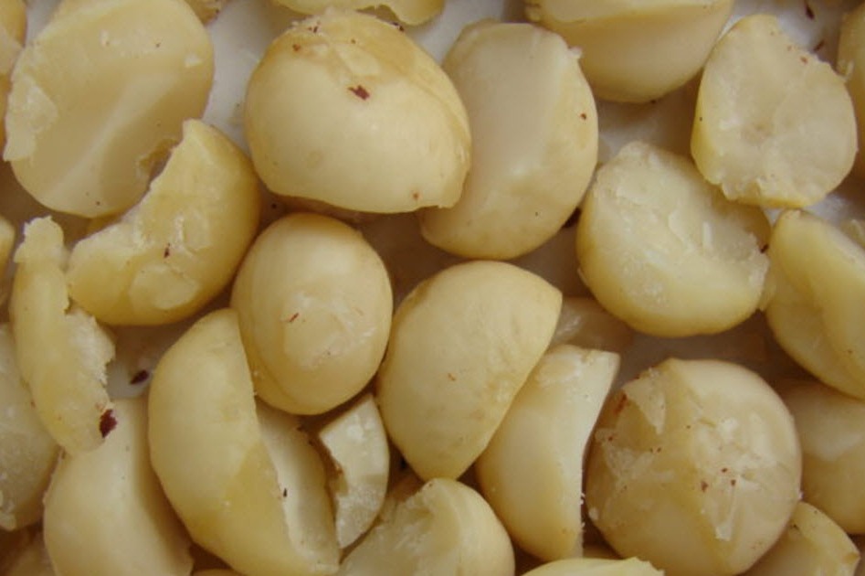 Top 7 Foods You Should Never Feed To Your Dog