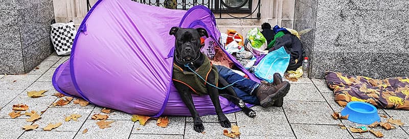 A veteran sitting in a car with a dog on his lap.
