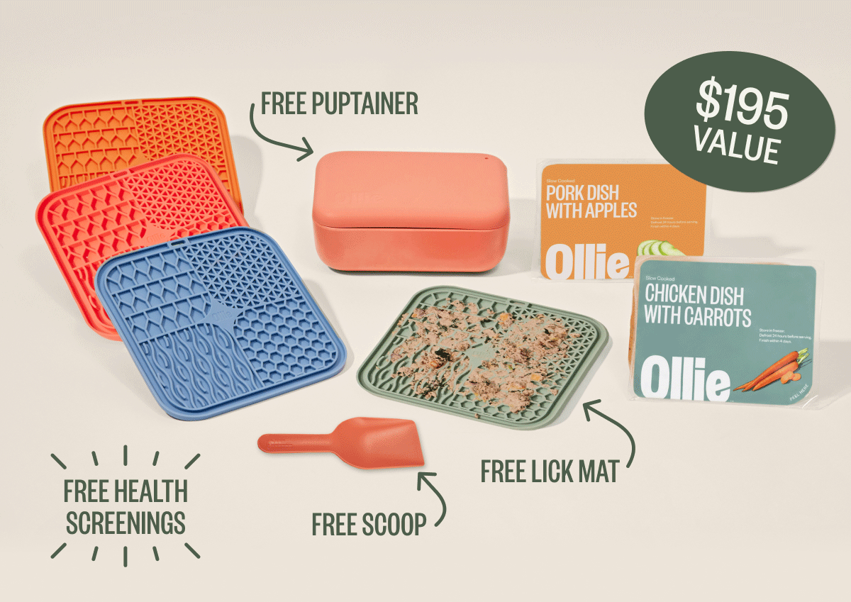 Free Items- $195 Value