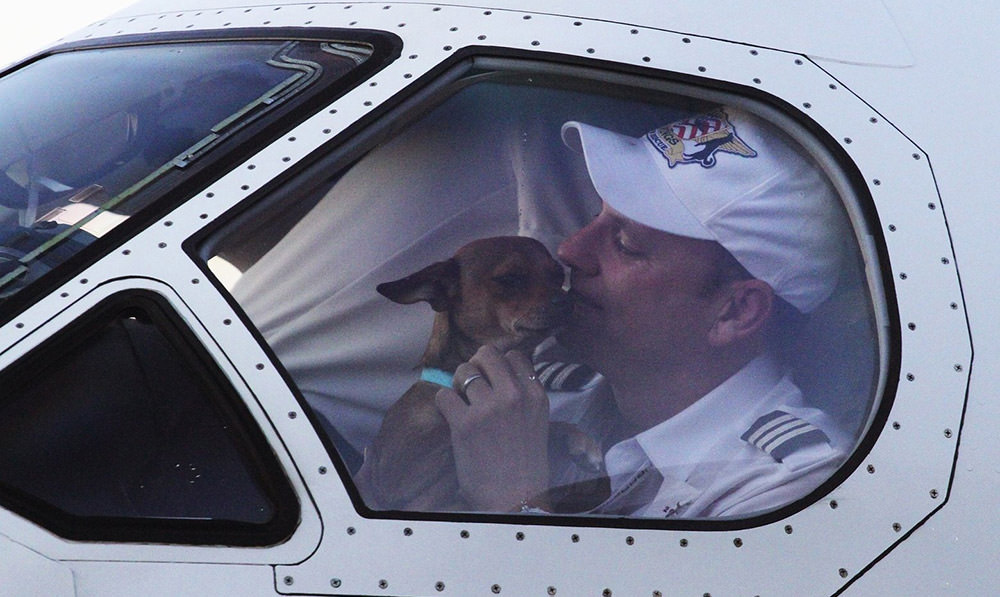 There’s a Puppy in This Airplane Pilot’s Lap for One Unbelievably Touching Reason