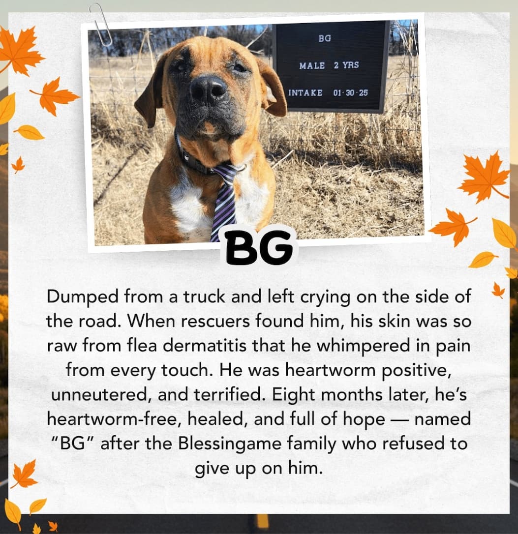 BG