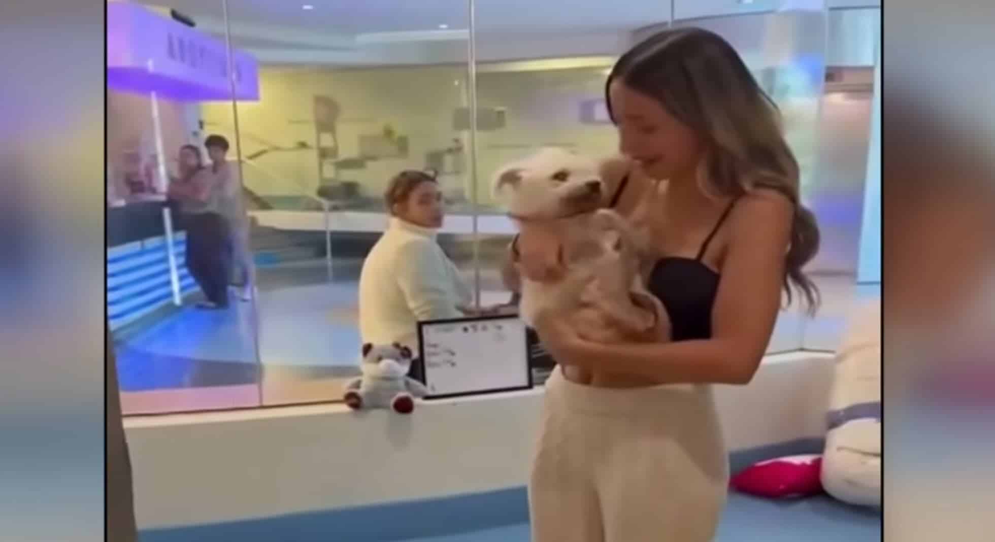 They Thought Their Dog Was Dead, But After 4-Years, Something Changed