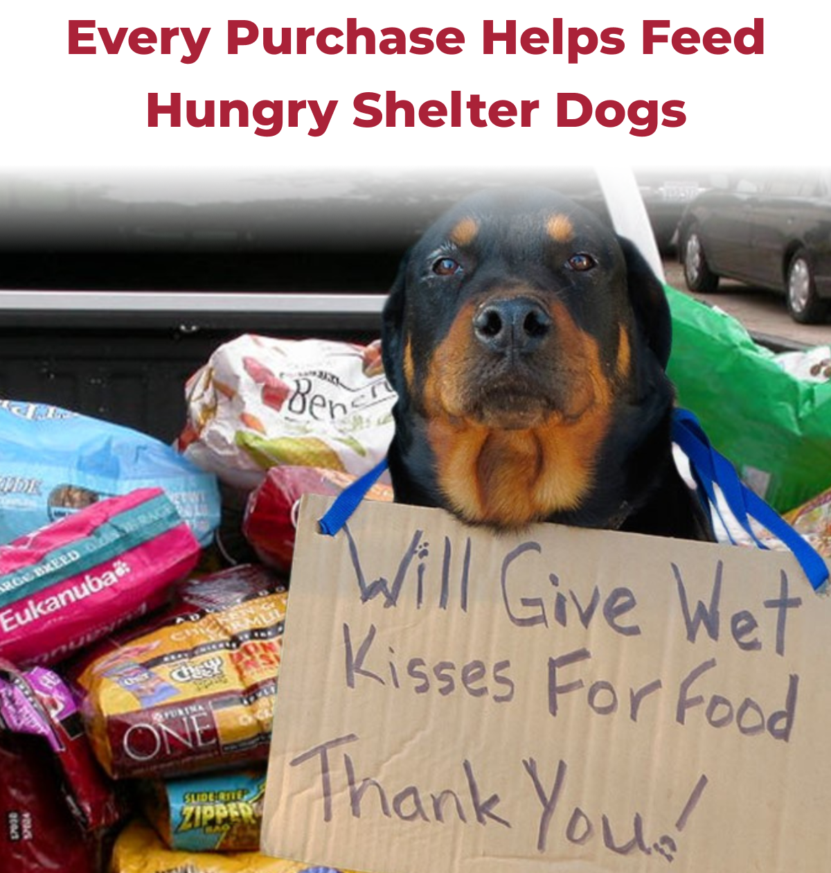 Every Purchase Helps Feed Hungry Shelter Dogs