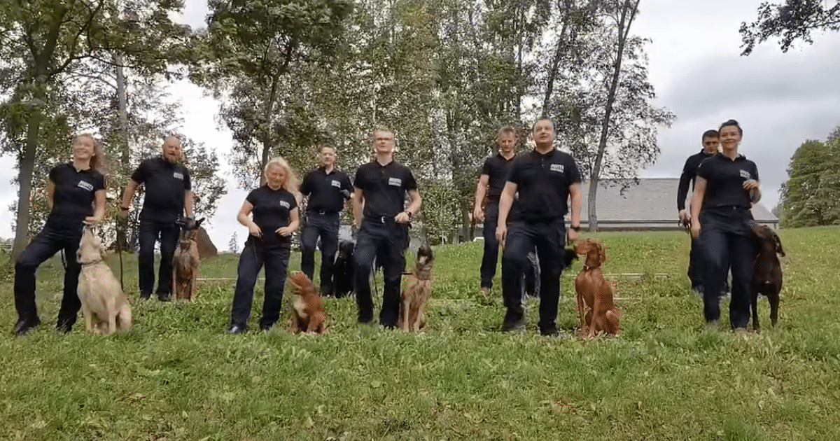 Handlers Hit the Dance Floor, but It’s Their Dogs Who Steal the Show