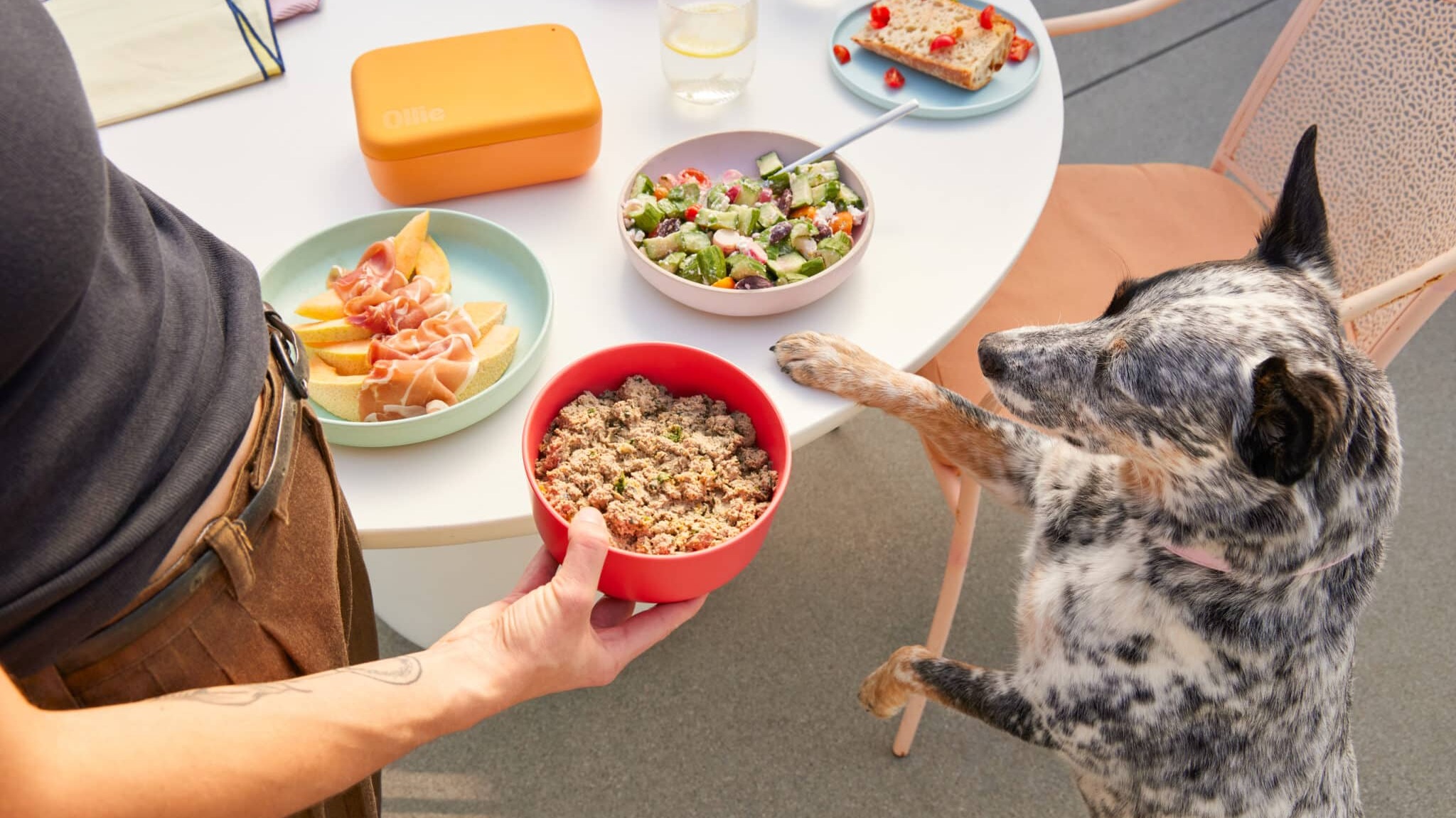 Relieve Your Dog’s Allergies One Bite At A Time