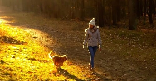 Why Dog Parents Are Making CBD Their Pup’s New Year’s Resolution
