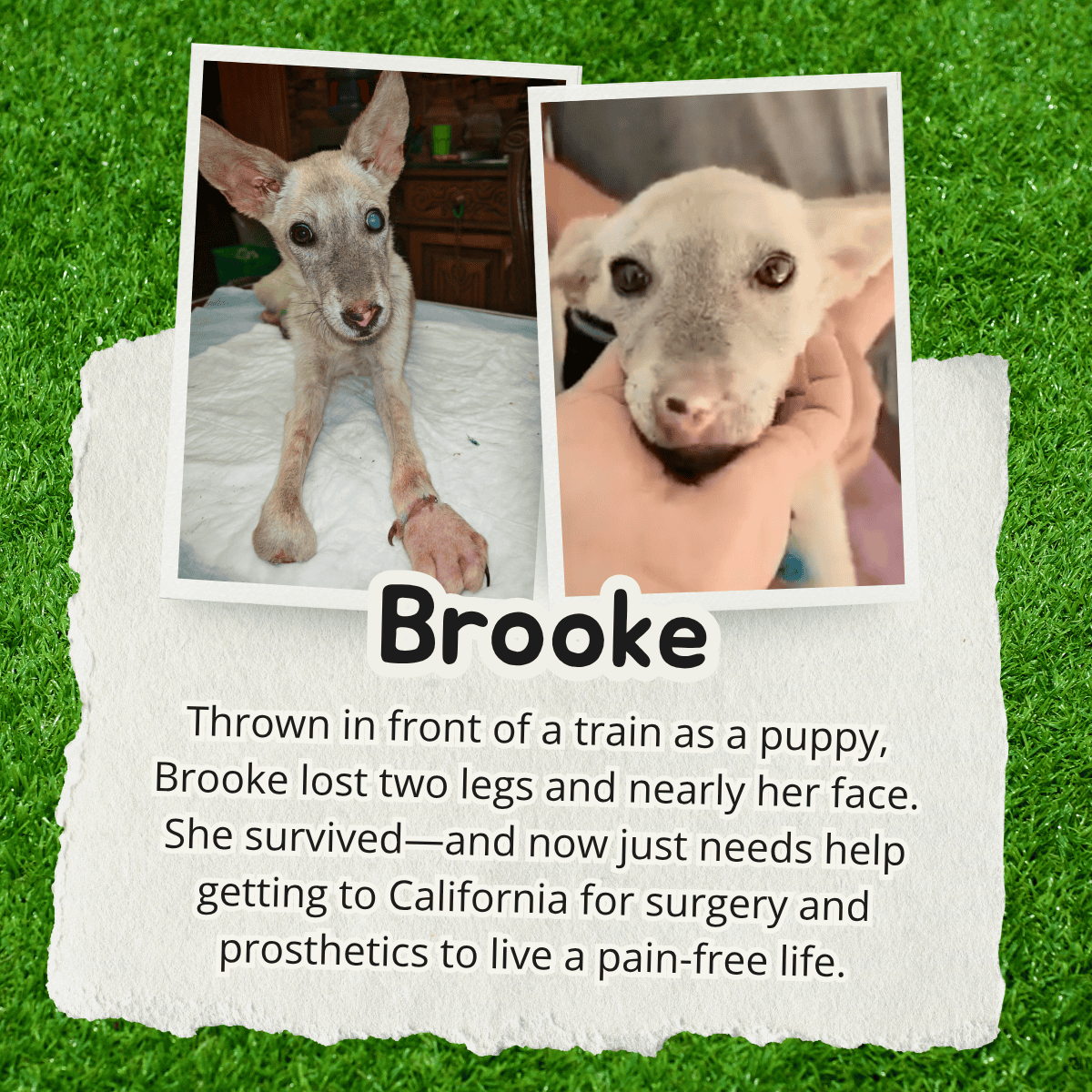Brooke
