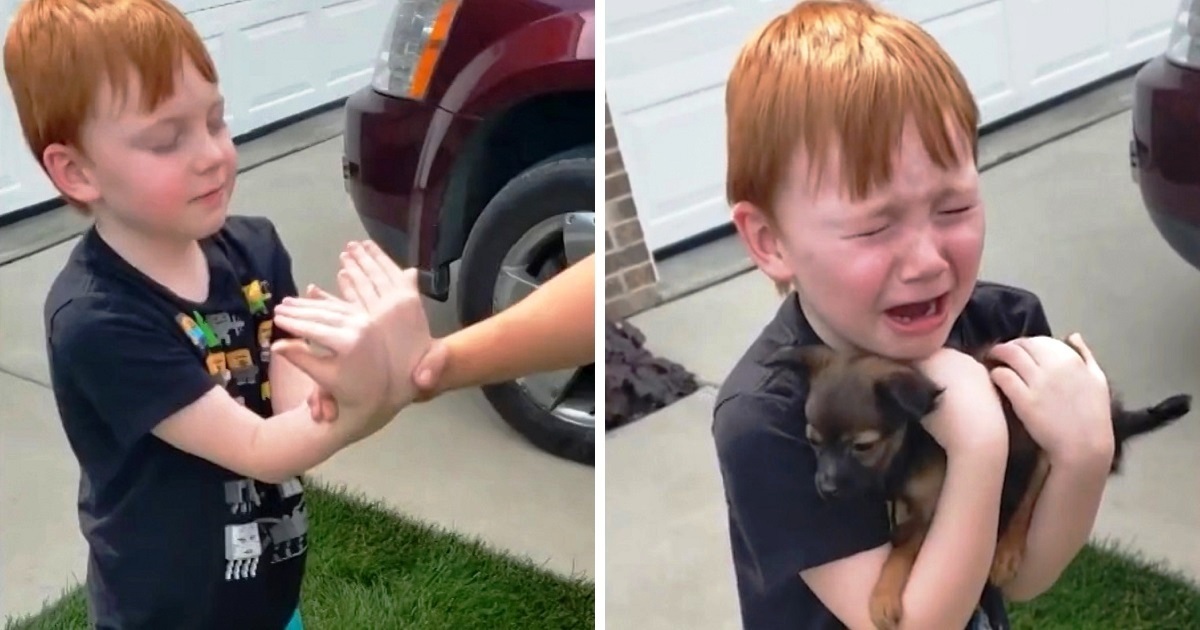 Boy Was Saving His Money To Buy Puppy, Grandma Asks Him To Close His Eyes & Stretch His Arms