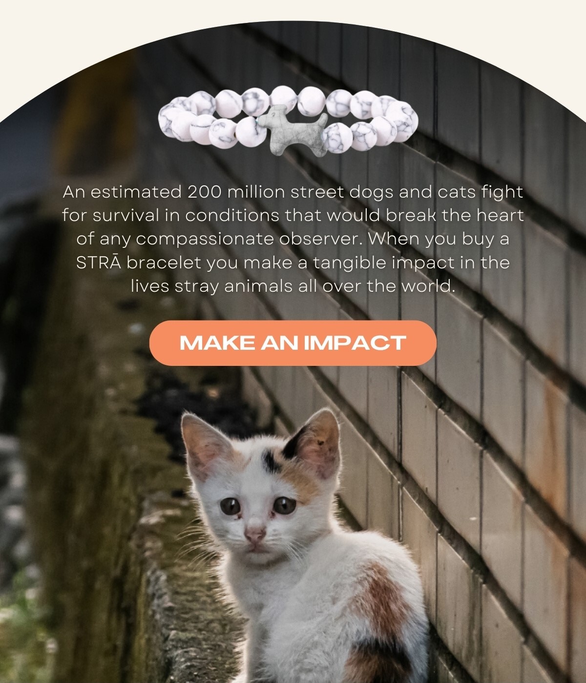 Sad hungry cat showing bracelet to help fund 10 meals