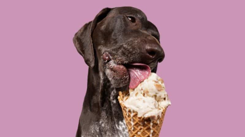Summer Just Got Sweeter With Free Ice Cream + 60% Off Your First Box