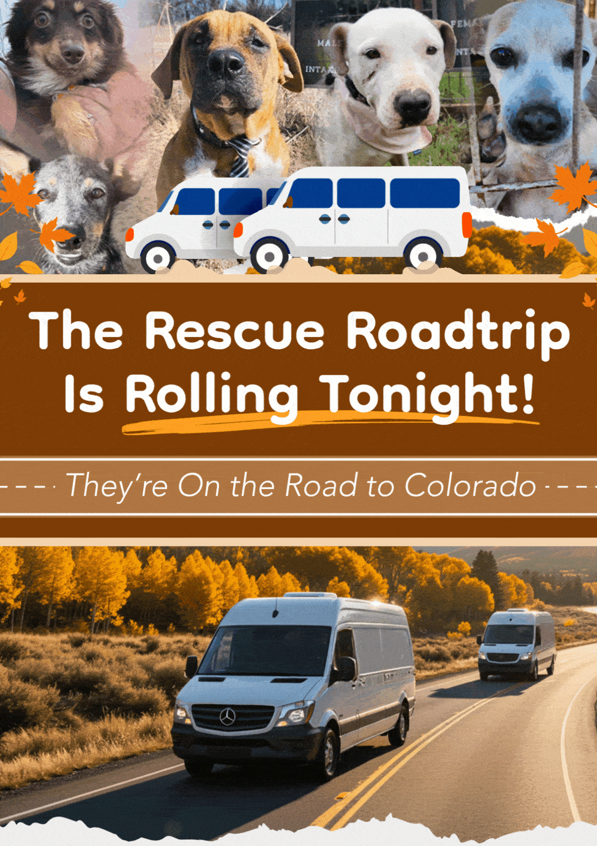 The Rescue Roadtrip Is Rolling Tonight! - They're On The Road to Colorado