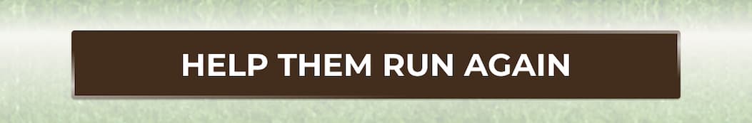 HELP THEM RUN AGAIN