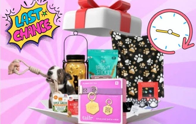 Final Hours! Enter Now to Win with iHeartDogs & Tailr