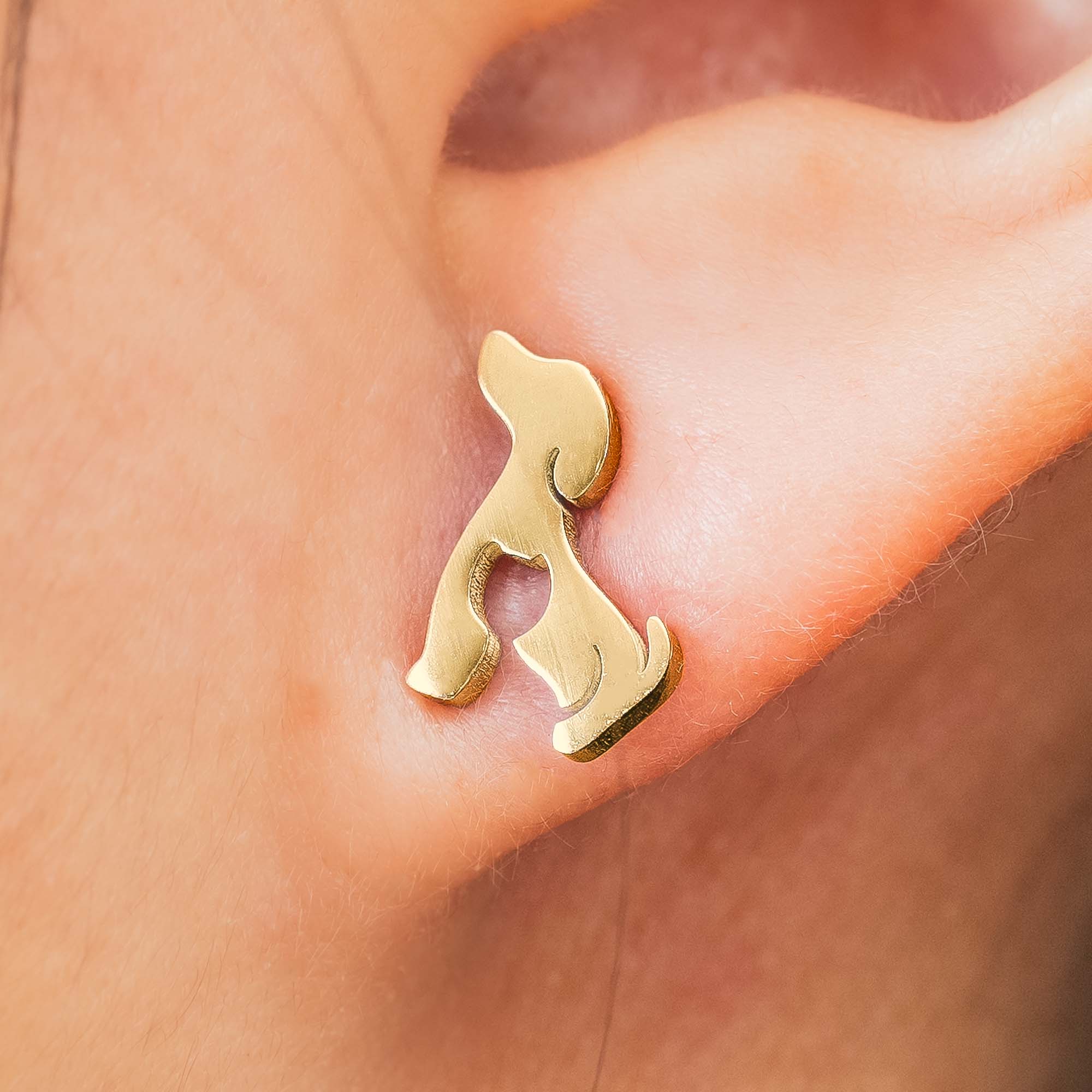 My Dog – My Cat Earrings, Gold Dog Stud Earrings, Unique Gifts for Dog & Cat Mom, Dog & Cat Lover Earrings