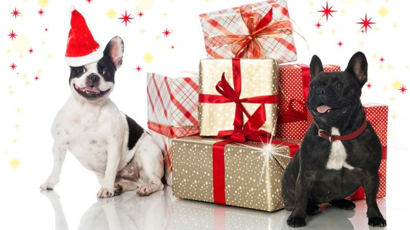 Holiday Gift Ideas for Dog Lovers & Their Pups