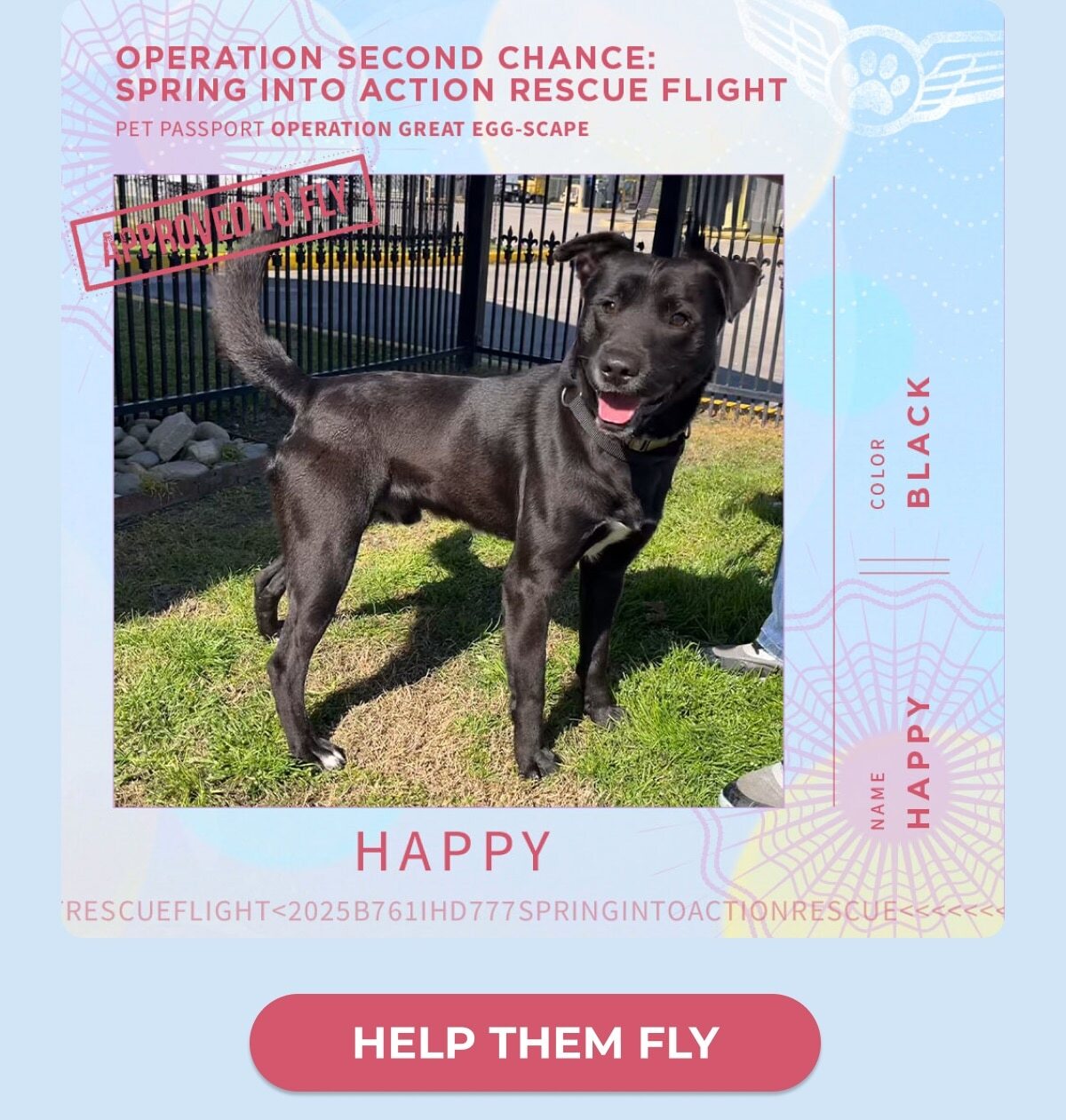NAME HAPPY - COLOR BLACK - HELP THEM FLY