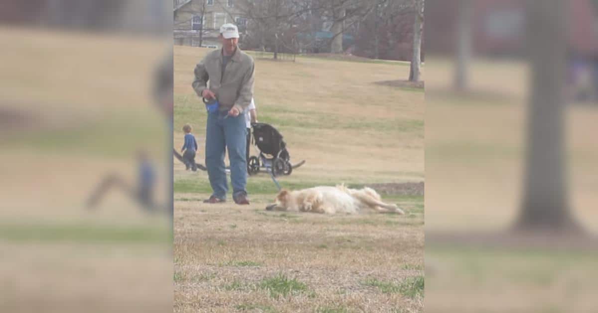 Park Play Ends with a Battle of Wills—and the Dog Totally Wins