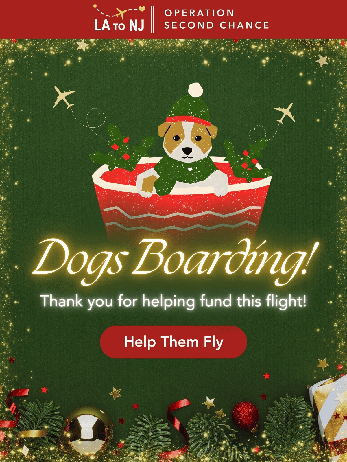 A Christmas Wish Rescue Flight