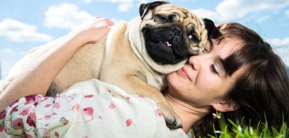11 Easy Ways To Spoil Your Dog