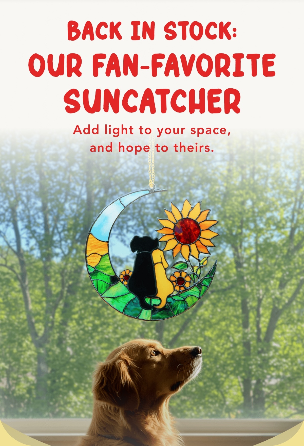 Back in Stock: Our Fan-Favorite Suncatcher - Add light to your space, and hope to theirs.