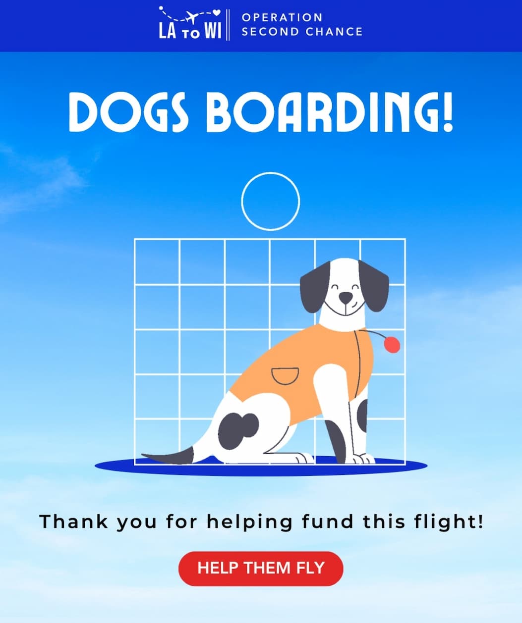 SUMMER OF SECOND CHANCES RESCUE FLIGHT - Help 40+ At-Risk Shelter Dogs Find Homes for the Summer