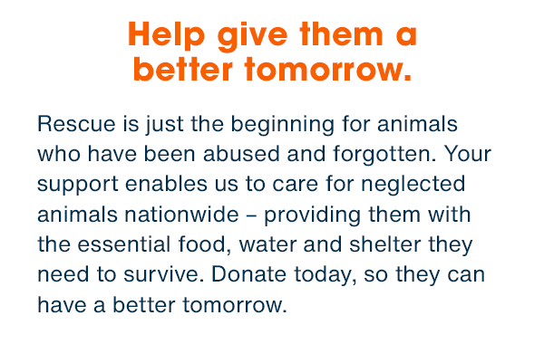 Help give them a better tomorrow