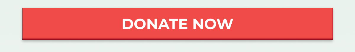 DONATE NOW