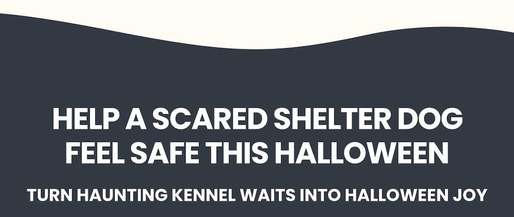 Help a Scared Shelter Dog Feel Safe This Halloween. Turn Haunting Kennel Waits into Halloween Joy.
