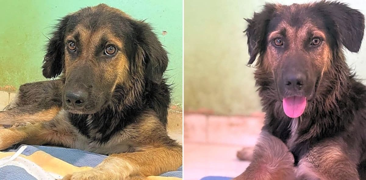 Starving, Wounded & Forgotten—Be Atlas' Hero
