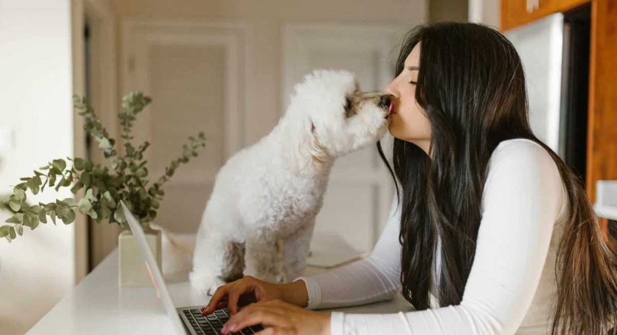 13 Sweet Ways Dogs Quietly Remind Us We’re Loved