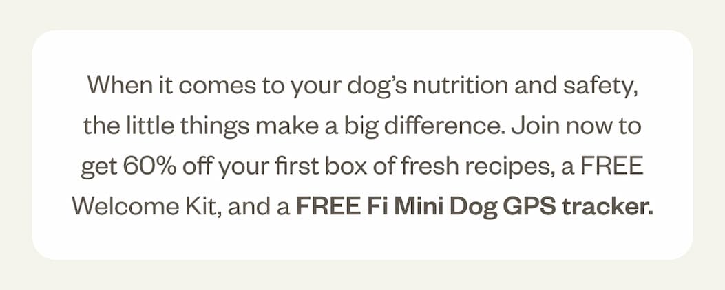 Free Fi Mini Dog GPS tracker