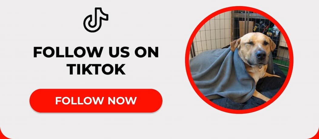FOLLOW US ON TIKTOK