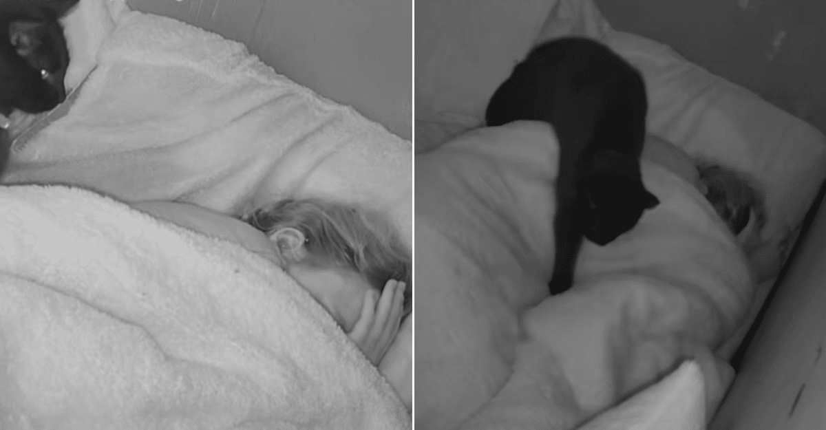 Cat Alerts Owner Moments Before Seizure and Stays by Her Side