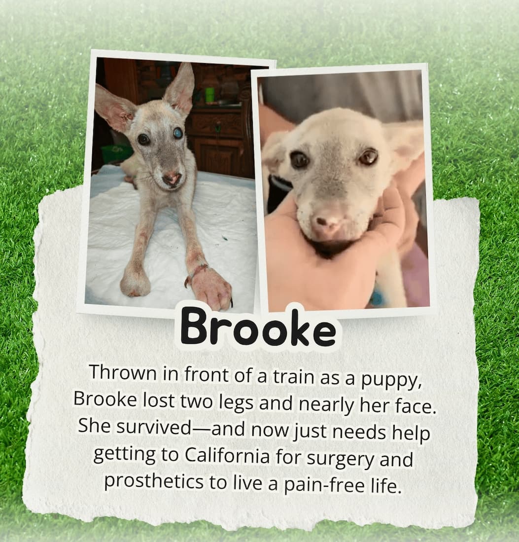 Brooke