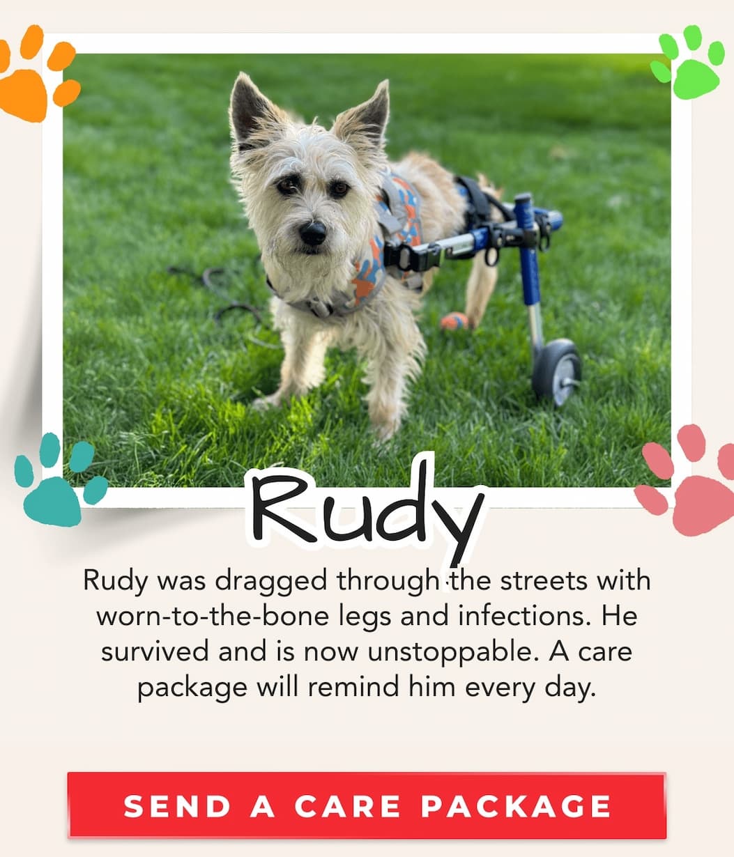 Rudy