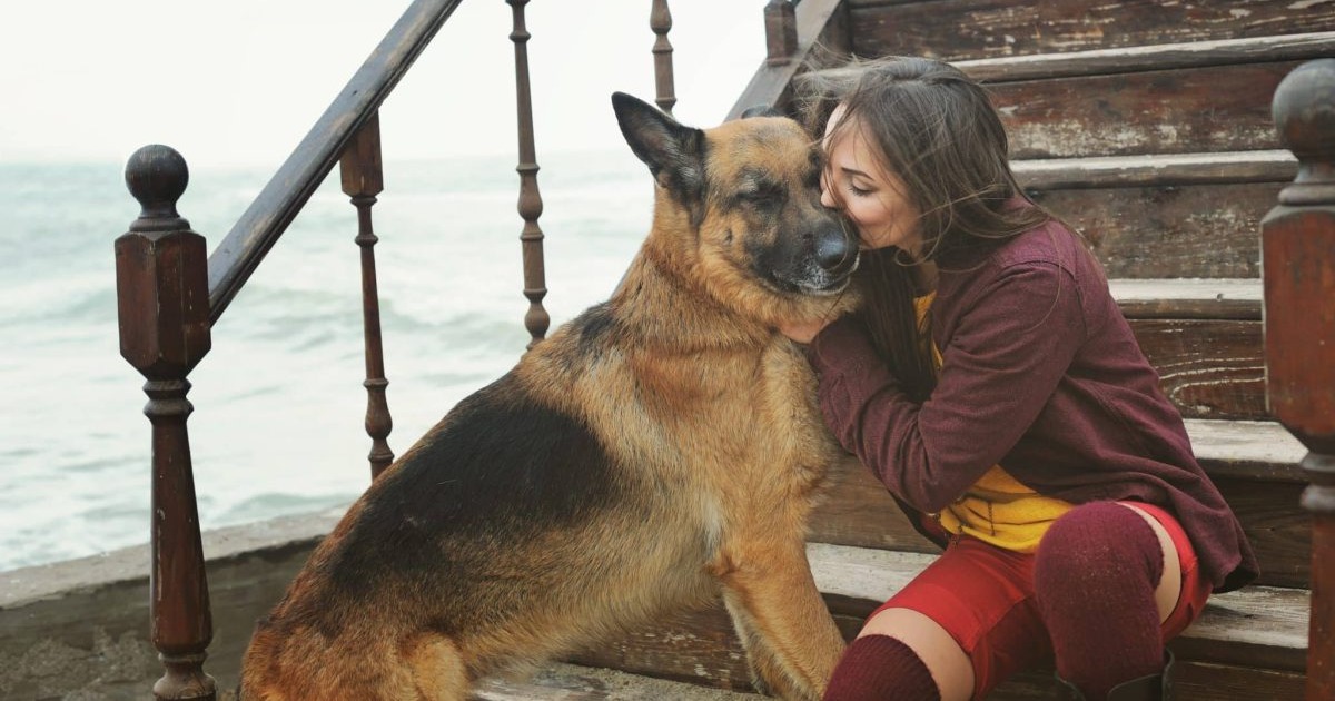 13 Dog Breeds That Instantly Sense When You’re Feeling Down