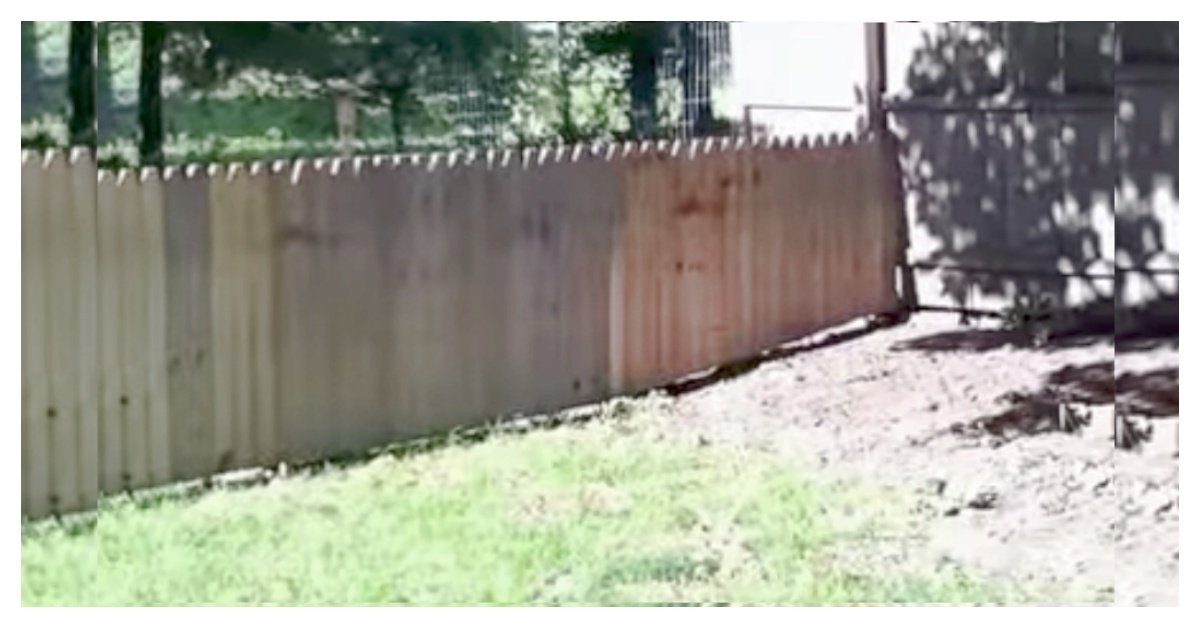 Dad Proudly Built A Fence To Protect His Dog, Dog Hilariously ‘Tested It’ Out