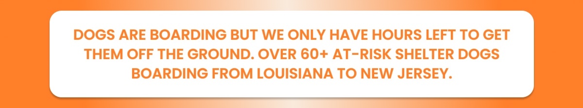 DOGS ARE BOARDING BUT WE ONLY HAVE HOURS LEFT TO GET THEM OFF THE GROUND. OVER 60+ AT-RISK SHELTER DOGS BOARDING FROM LOUISIANA TO NEW JERSEY.