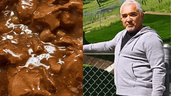 Cesar Millan Shares Some of The Most Toxic Foods For Dogs