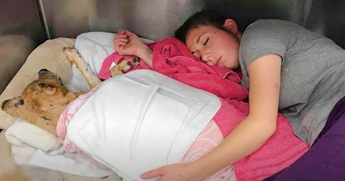 Veterinarian Climbs Into Dog’s Kennel, Holds Him To Ease The Pain