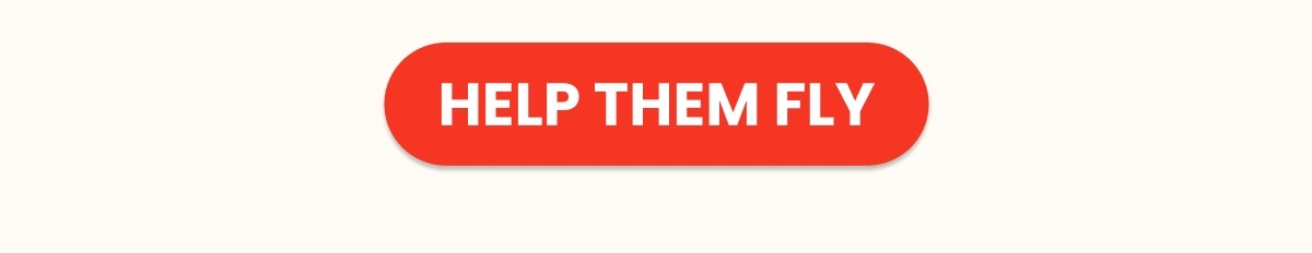 HELP THEM FLY